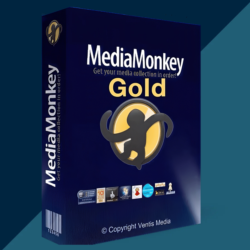 Ключ MediaMonkey 5 Gold  (бессрочный / 1 ПК)