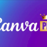 Подписка Canva PRO на 3 месяца