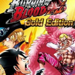 One Piece Burning Blood - Gold Edition (STEAM) РФ и СНГ