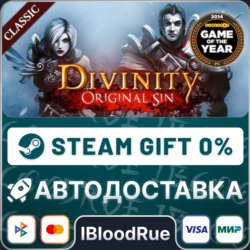 Divinity: Original Sin - Enhanced Ed.  •РУ  МИР / STEAM АВТО