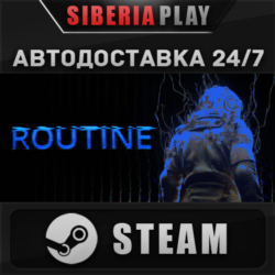 ROUTINE STEAM АВТОДОСТАВКА RU/KZ/UA/СНГ