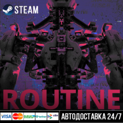 ROUTINE СТИМ Steam Gift