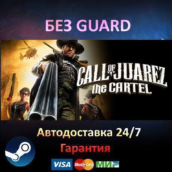 Call of Juarez: The Cartel - Steam БЕЗ GUARD