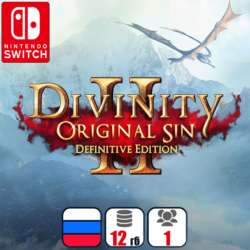 Divinity: Original Sin 2 | Nintendo Switch 1/2