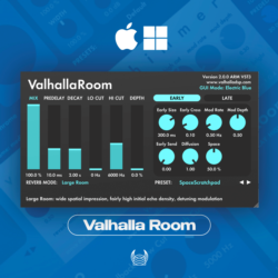 Valhalla DSP Room | АВТОДОСТАВКА 24/7