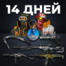 Новогодний набор «Заполярье»