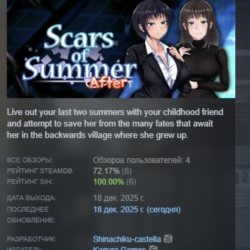 Scars of Summer: After АВТОДОСТАВКА STEAM GLOBAL МГНОВЕННО ЛИЦЕНЗИЯ