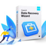 EaseUS Data Recovery Pro ключ лицензии на 1 год