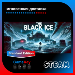 The Black Ice   Игры | Steam | Оффлайн