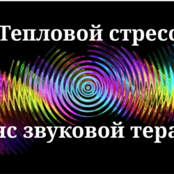 Тепловой стресс _ Сеанс звуковой терапии