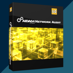 AIDA64 Network Audit 2026 (пожизненная лицензия / 1 ПК)