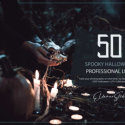 Lightroom — набор из 50 жутких LUT-фильтров и пресетов