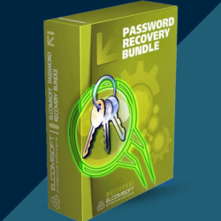 Password Recovery Bundle Enterprise (Lifetime / 1 PC)