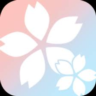 CrystalDiskMark Aoi Edition Windows PC