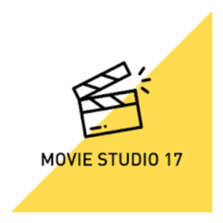 VEGAS Movie Studio 17 Windows Store Edition PC