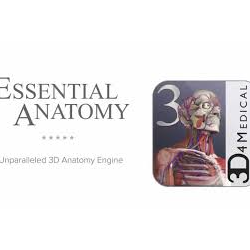 Активация Essential Anatomy 3 в Microsoft Store для Win