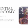 Активация Essential Anatomy 3 в Microsoft Store для Win