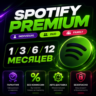 1/3/6/12  SPOTIFY PREMIUM ИНДИВИДУАЛЬНЫЙ/ДУЭТНЫЙ/СЕМЕЙНЫЙ