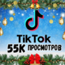 55 000 просмотров видео в TikTok