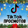 TikTok Video Views 15,000