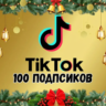 Подписчики в TikTok: 100