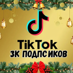Подписчики в TikTok: 3000