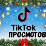 Видео в TikTok просмотрено: 1000
