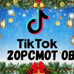 Видео в TikTok просмотрено: 20 000