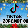 Видео в TikTok просмотрено: 20 000