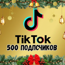 Подписчики в TikTok: 500