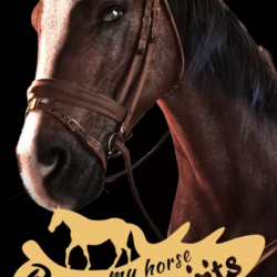 My Horse: Bonded Spirits (STEAM) Регион: Все страны