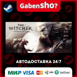 The Witcher: Enhanced Edition Director&acute; СТИМ Steam Gift