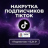 Накрутка подписчиков TikTok