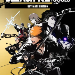 BLEACH Rebirth of Souls - Ultimate Edition РФ и СНГ
