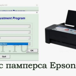 Сброс памперса  Epson : L120