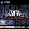 Tomb Raider VI: The Angel of Darkness СТИМ Steam Gift