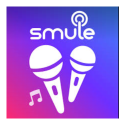Апгрейд Smule Vip 1–12 мес | БЫСТРО, ПОЛНАЯ ГАРАНТИЯ