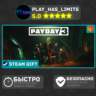 PAYDAY 3 *RU/BY/UA/СНГ Steam Auto