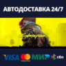 АВТОДОСТАВКА / Cyberpunk 2077 / STEAM / РФ/СНГ   ВЫБОР