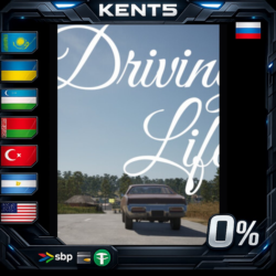 Driving Life - Steam Gift