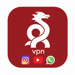 VPN    - 100руб/мес.