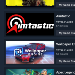 STEAM • CS2 • Cyberpunk 2077 • PUBG • Wallpaper Engine