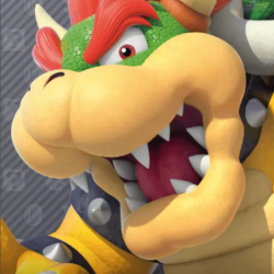 Nintendo eShop Card 250zl