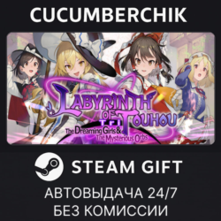Labyrinth of Touhou Tri✅STEAM GIFT AUTO✅RU МИР