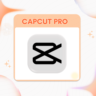 CAPCUT PRO | ИНДИВИДУАЛЬНАЯ ПОДПИСКА | 1 ГОД