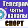База 13 000 Телеграм каналов и чатов - Спорт (2026 год)