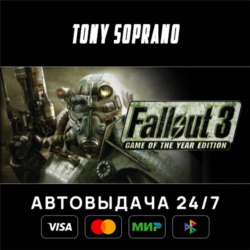 Fallout 3 Game of the Year Edition STEAM GIFT