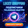 Подписчики Telegram | Телеграм