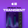 AIR TRANSIENT | МОМЕНТАЛЬНАЯ ВЫДАЧА [КЛЮЧ]