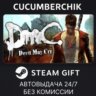 DmC: Devil May Cry  STEAM GIFT AUTO RU МИР